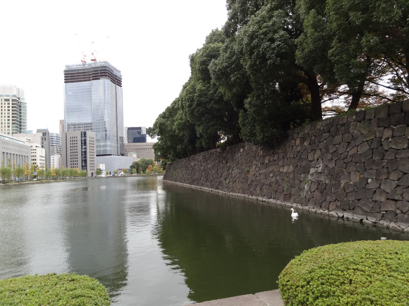 I call it 'The Swan Lake': Tokyo