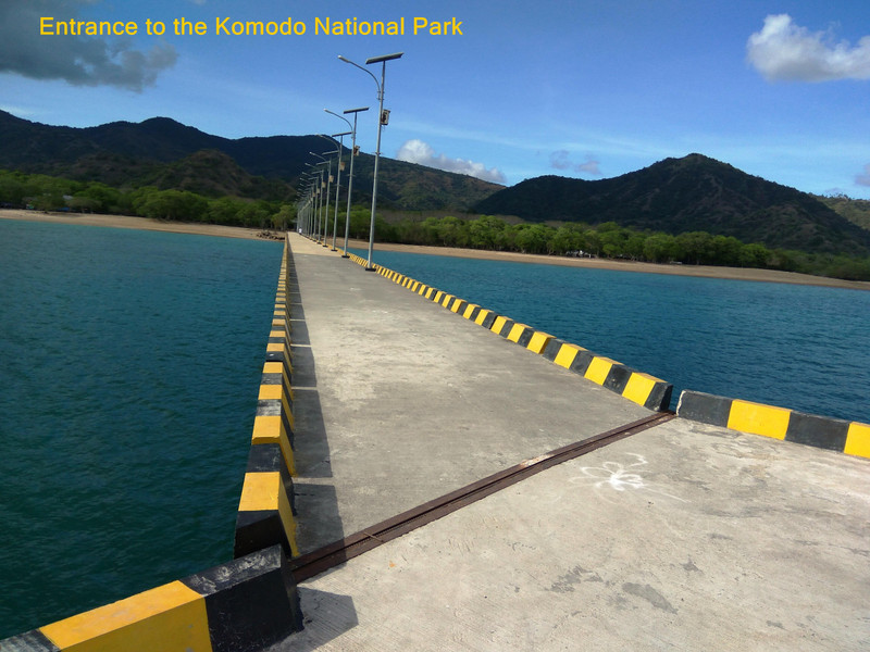 Bridge to ender Komodo Park