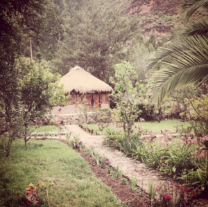 Our Ayahuasca Hut