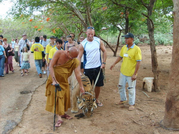 Yeah, you know....just taking the tiger for a walk