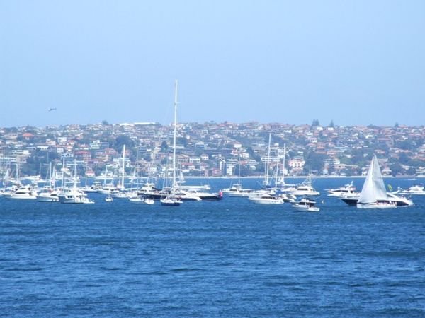 Yachts lining up in the harbour to watch the evening fireworks