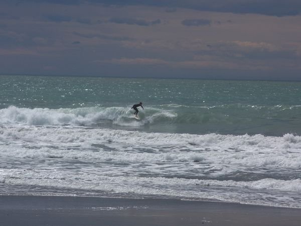 surfer dude