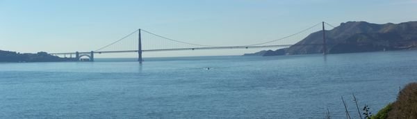 here is the golden gate 