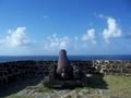 rusting cannon pointing at martinique