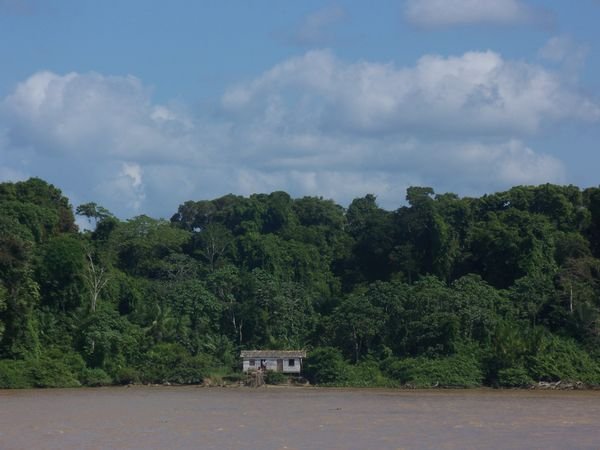 shack in the amazon 