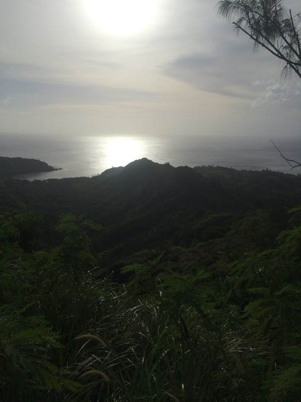 View from Cetti Bay Overlook_Photo by Melissa Seppala