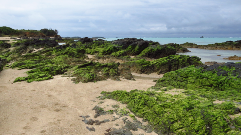 Mossy Rock, Seascape, Sea Glass Beach, Okinawa