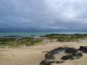 Black and Tan, Sea Glass Beach, Okinawa