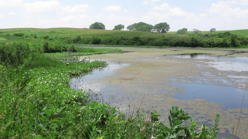 Spring Creek Pond (2)