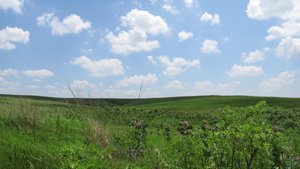 Spring Creek Native Prairie