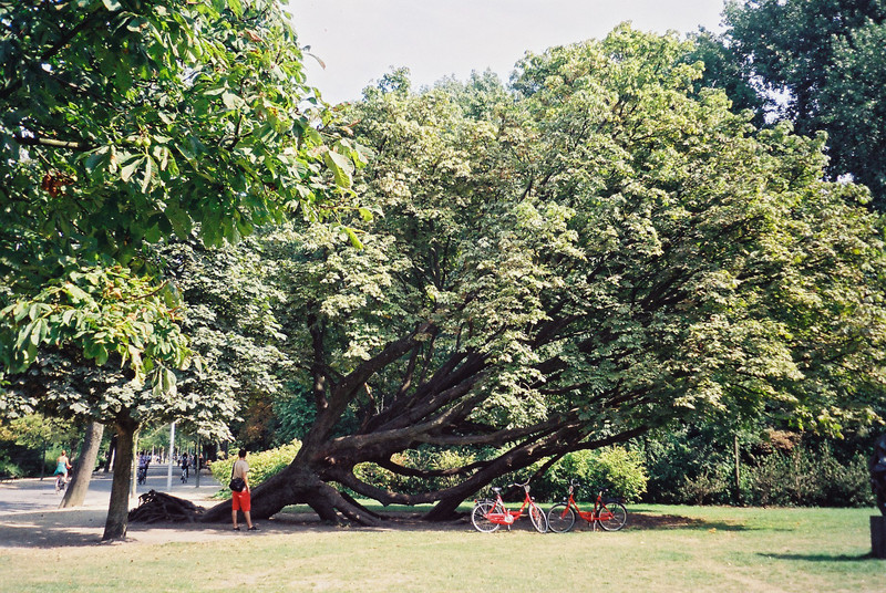 Resting in Vondelpark