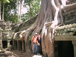 Giant tree at Ta Prohm