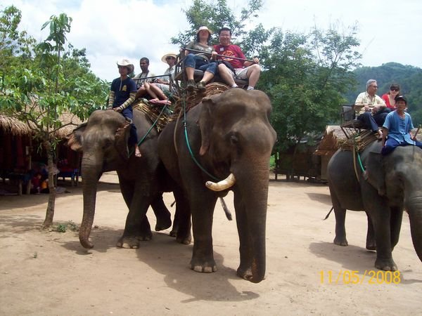 Elephant riding at Mae Taeng Park