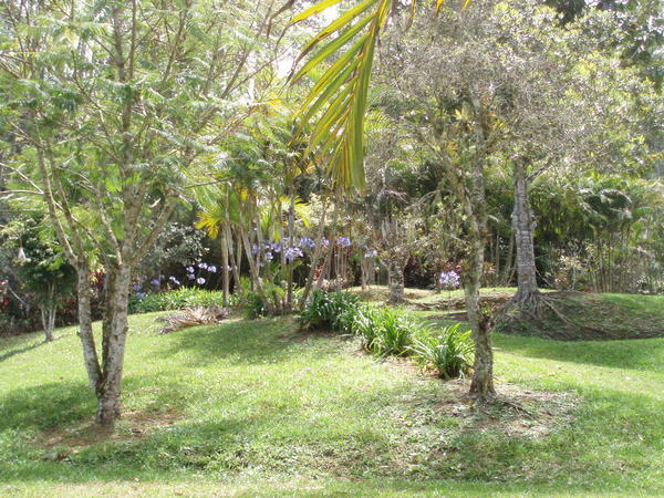 Im Garten der Finca II