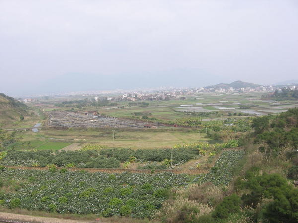 A View of the Village
