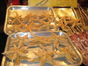 starfish...ummm