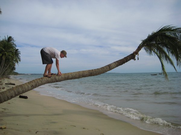the only coconut tree aaron was willing to climb