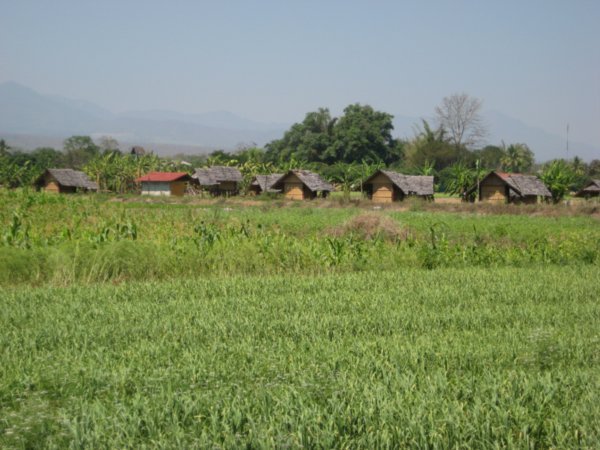 our bamboo huts out in the rice fields