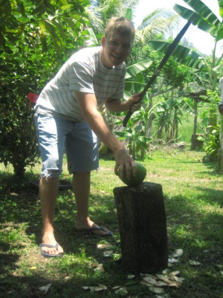 coconut cutting