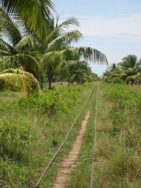 track to the eco reserve