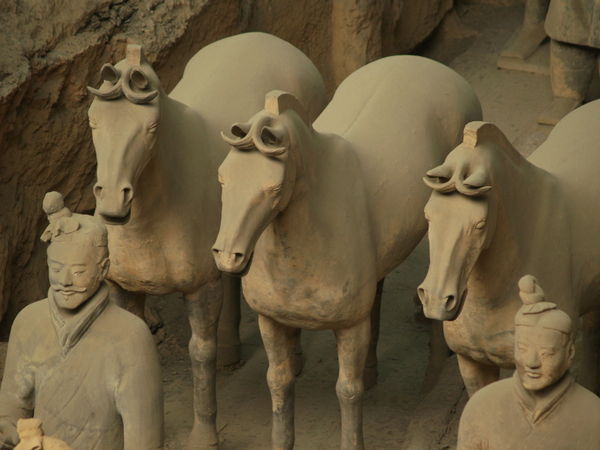 Terracotta Horses
