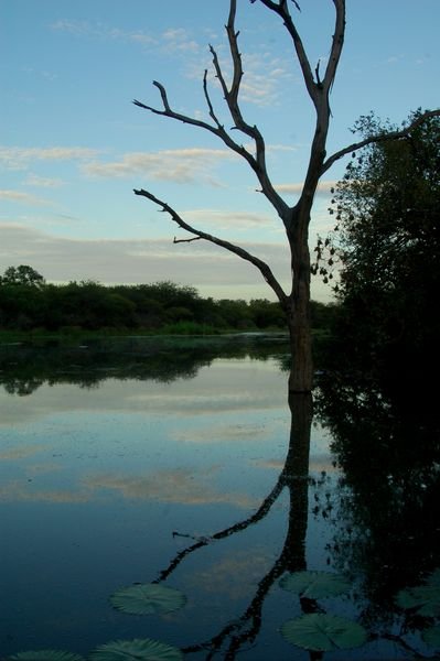 reservoir reflection