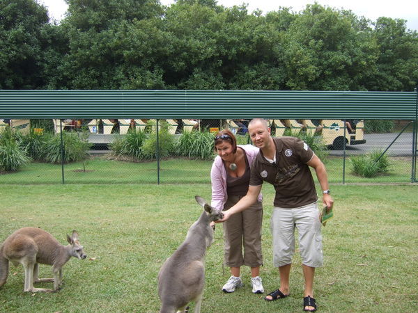 Australia Zoo 1