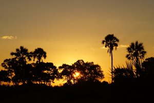 Sunset in the Okavango Delta
