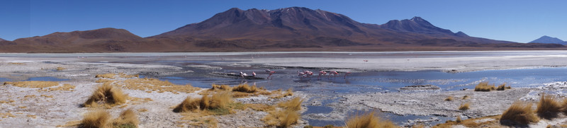 Lagoon with Flamingos and Chile in the distance
