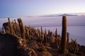 Sunrise over Salar de Uyuni- salt flats on cactus island