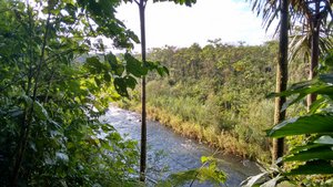 Chinimpi river 