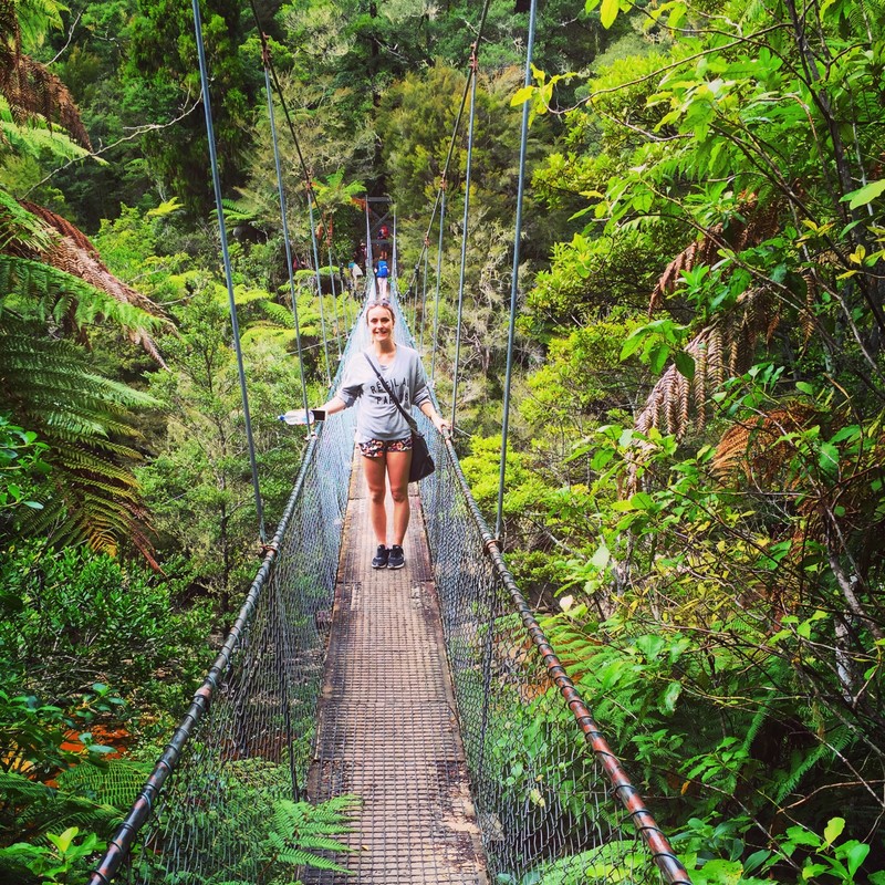 Swing bridge on our Able Tasman walk