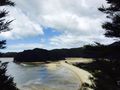 View over bay on our Able Tasman Walk 