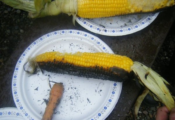 New Yorker Attempts To Roast Corn