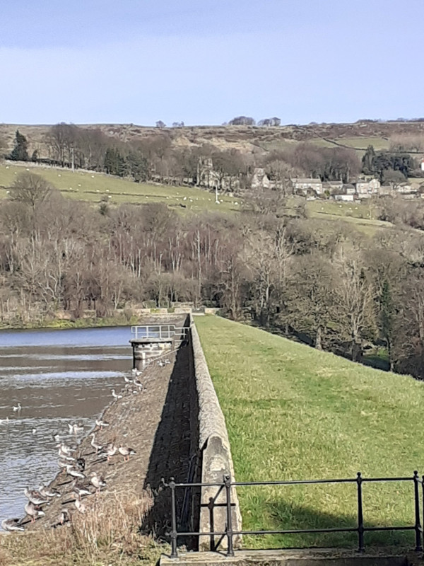 Agden Reservoir with Bradfield in the distance