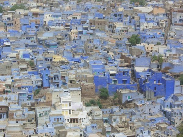 Jodpur's blue houses