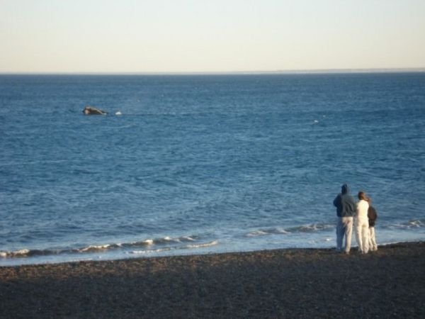 Puerto Madryn Beach