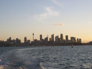 The Sydney Skyline