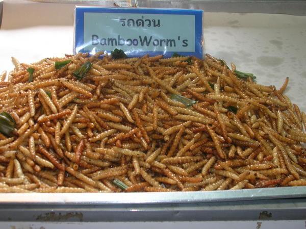 Bamboo worms