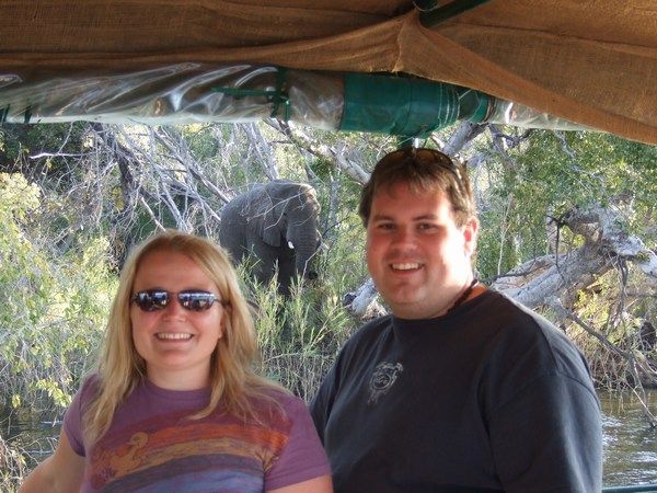 elephants on our booze cruise!