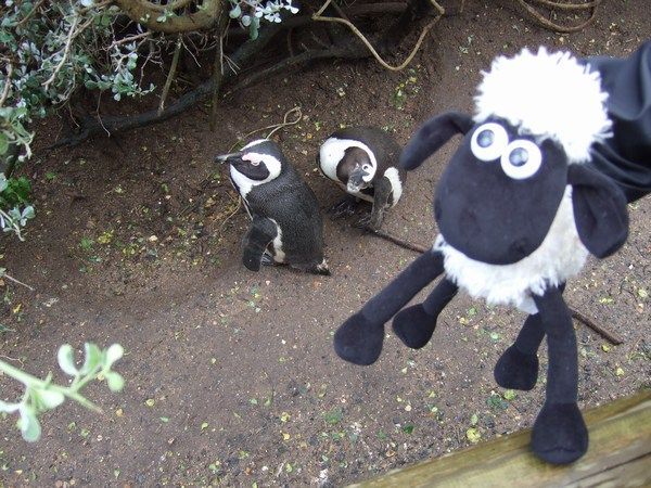 Shaun with more friends