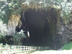 Gomatong caves