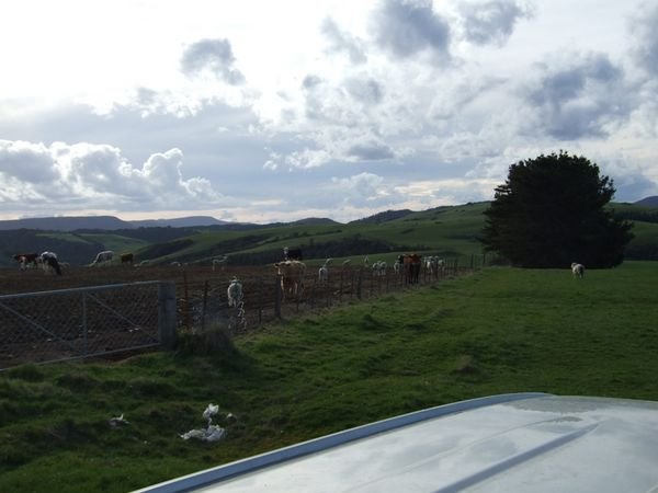 Views around the farm