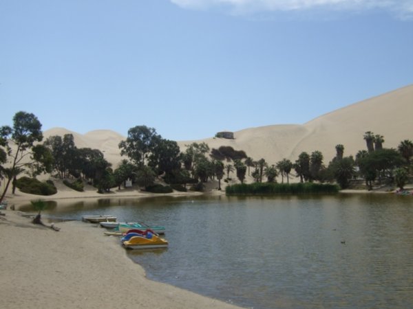 the oasis