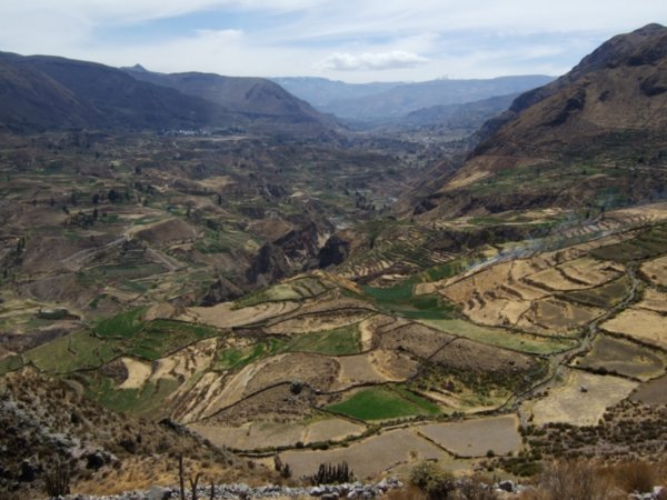 you can see the inca terracing for agriculture