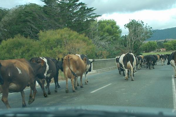 A roadblock or two...