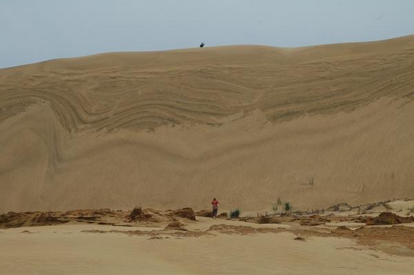 A few fellow dune traversers