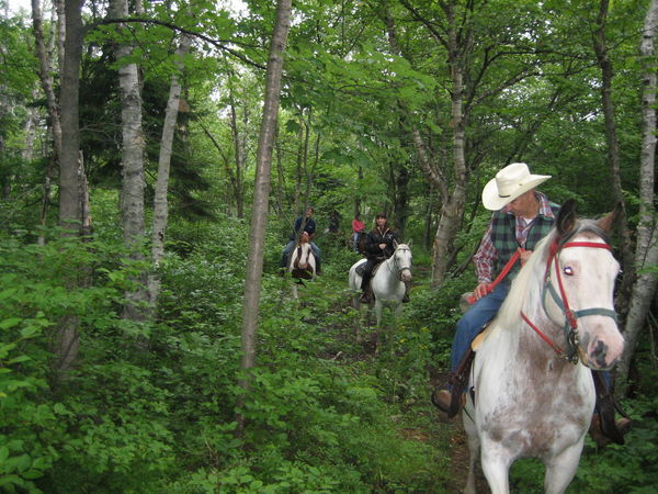 Horseback riding in Saint John