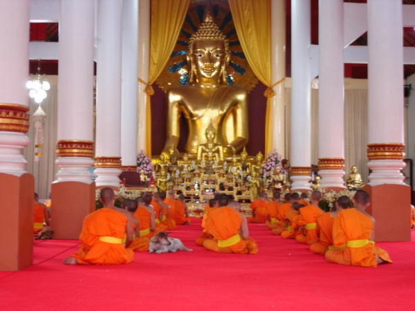 Novice Monks