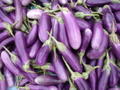 Eggplants in Lak Sao